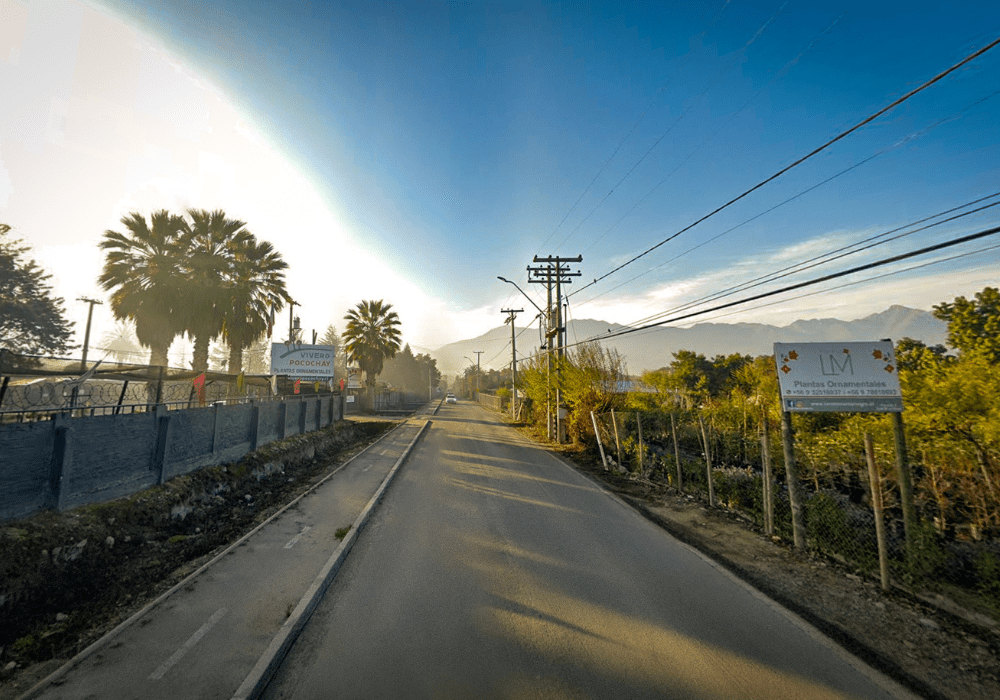 Camino de viveros hacia la parcelacion