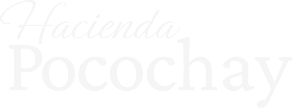Logo secundario Hacienda Pocochay