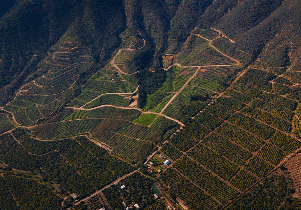 Vista aérea proyecto completo (2)