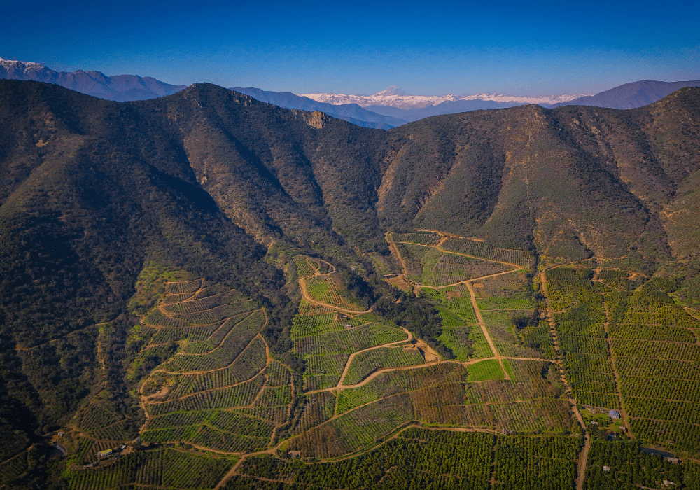 Vista aérea proyecto completo (3)