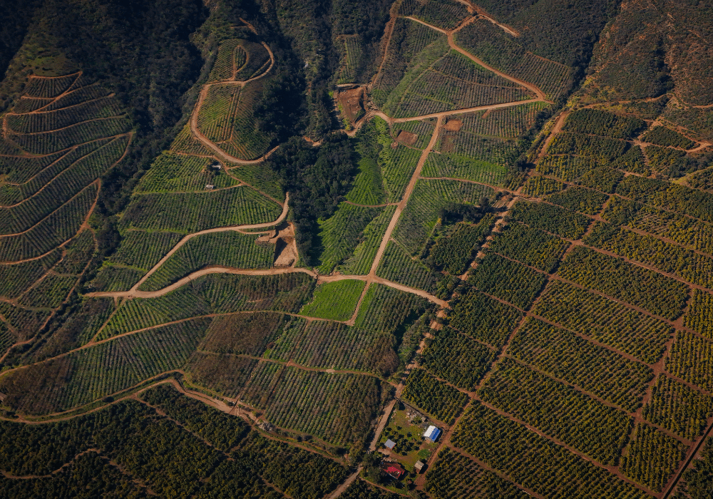 Vista aérea proyecto completo