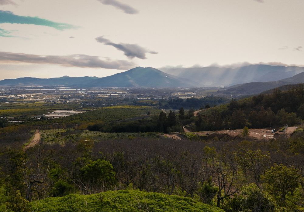Vista desde parcelas Etapa 1