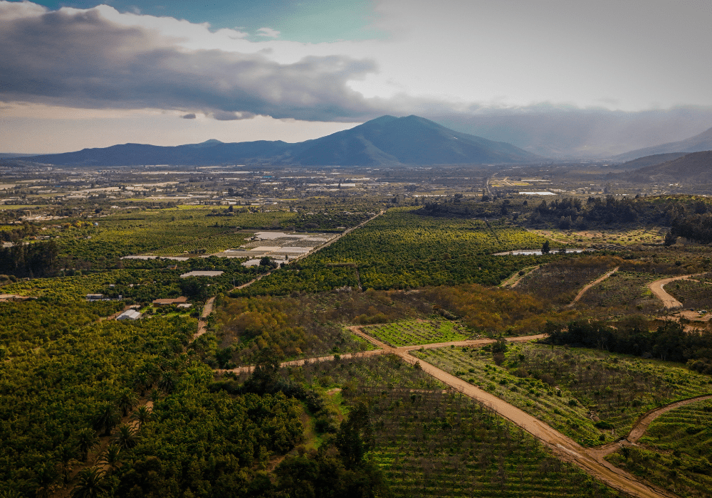Vista general de parcelas